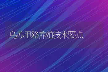 乌苏里貉养殖技术要点