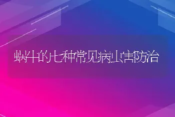 蜗牛的七种常见病虫害防治