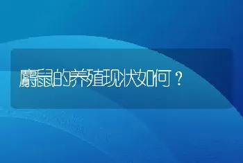 麝鼠的养殖现状如何？