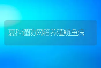 夏秋谨防网箱养殖鲢鱼病