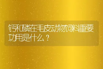 钙和磷在毛皮动物饲料重要功用是什么？