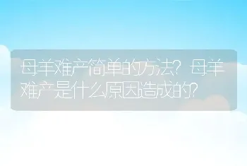 母羊难产简单的方法？母羊难产是什么原因造成的？