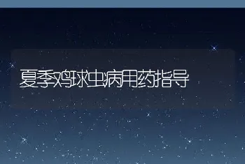 鸡配合全价饲料要掌握“三性”