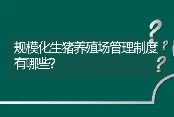 规模化生猪养殖场管理制度有哪些?