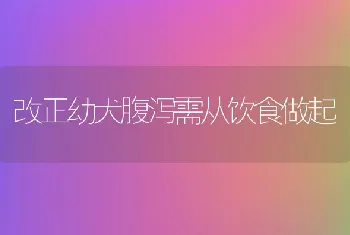 改正幼犬腹泻需从饮食做起