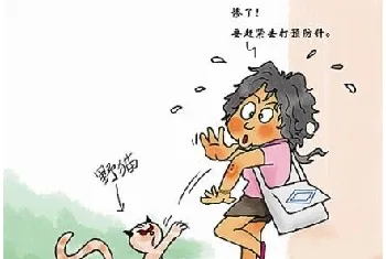 被猫狗咬伤怎么办被狗、猫咬伤、抓伤，怎么办？