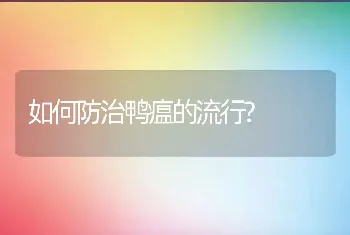 如何防治鸭瘟的流行?