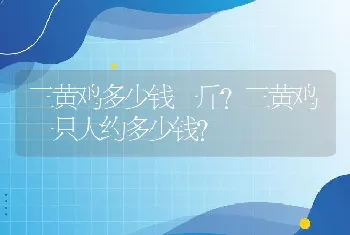 三黄鸡多少钱一斤？三黄鸡一只大约多少钱？