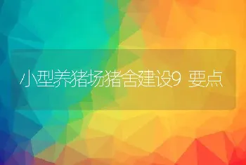 小型养猪场猪舍建设9要点