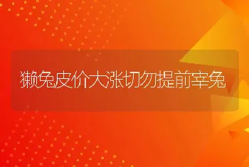 獭兔皮价大涨切勿提前宰兔