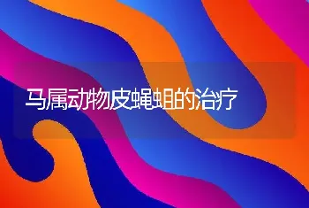 马属动物皮蝇蛆的治疗