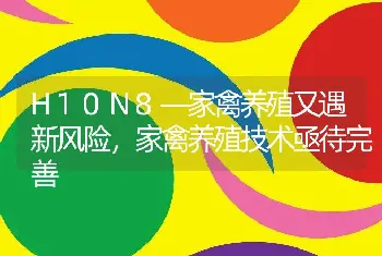 H10N8—家禽养殖又遇新风险，家禽养殖技术亟待完善