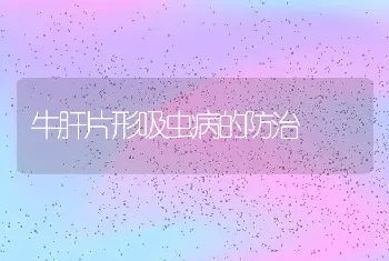 牛肝片形吸虫病的防治