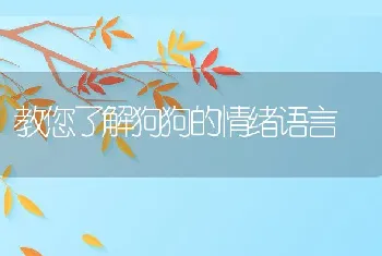 教您了解狗狗的情绪语言