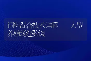 饲料混合技术详解  大型养殖场经验谈