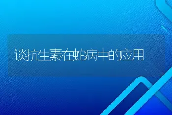 养羊须注意不同地区养什么品种好？