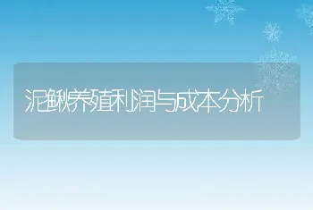 冬季蛋鸡怎么养？