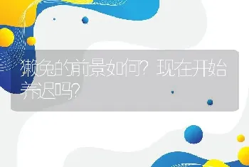 獭兔的前景如何？现在开始养迟吗？