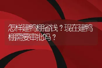 怎样建鸭棚省钱？现在建鸭棚需要审批吗？