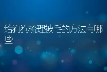 给狗狗梳理被毛的方法有哪些