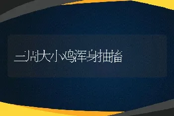 三周大小鸡浑身抽搐