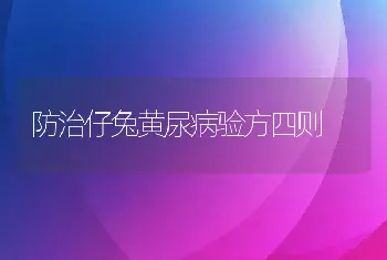 防治仔兔黄尿病验方四则