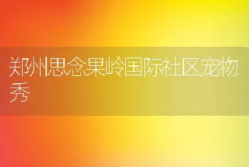 郑州思念果岭国际社区宠物秀