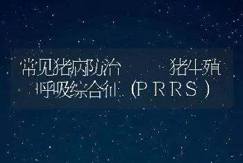 常见猪病防治-- 猪生殖一呼吸综合征（PRRS）