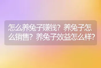 怎么养兔子赚钱？养兔子怎么销售？养兔子效益怎么样？