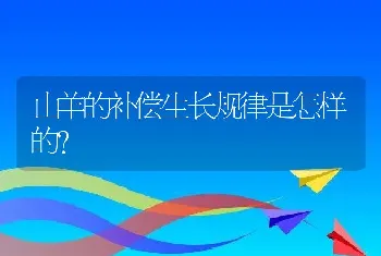 山羊的补偿生长规律是怎样的？