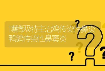 博腾双特主治鸡传染性鼻炎鸭鹅传染性鼻窦炎