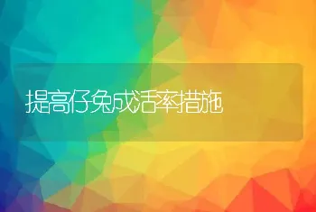 提高仔兔成活率措施