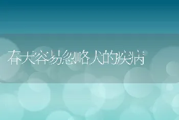 春天容易忽略犬的疾病