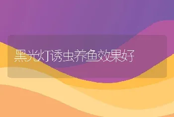 黑光灯诱虫养鱼效果好