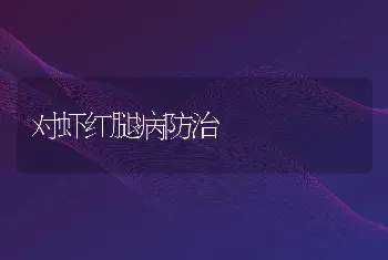 对虾红腿病防治