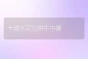 十滴水可治耕牛中暑