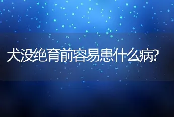 犬没绝育前容易患什么病?