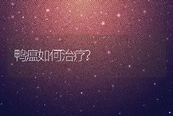 鸭瘟如何治疗?