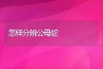 乌龟养殖越冬管理技术要点