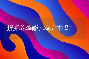 蝇蛆养鸡能养鸡成本吗？