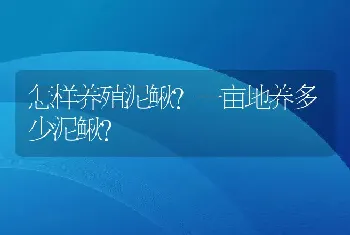 怎样养殖泥鳅？一亩地养多少泥鳅？