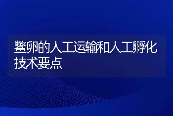 鳖卵的人工运输和人工孵化技术要点