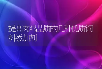 提高肉鸡品质的几种优质饲料添加剂