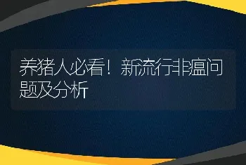 养猪人必看！新流行非瘟问题及分析