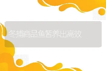 山羊度夏管理要点