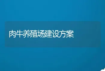 肉牛养殖场建设方案