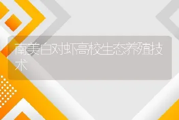 南美白对虾高校生态养殖技术