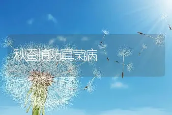 秋蚕慎防真菌病