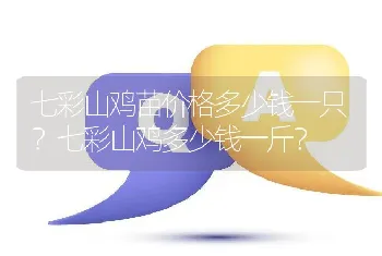 七彩山鸡苗价格多少钱一只？七彩山鸡多少钱一斤？