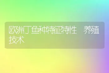 欧洲丁鱼种特征特性 养殖技术